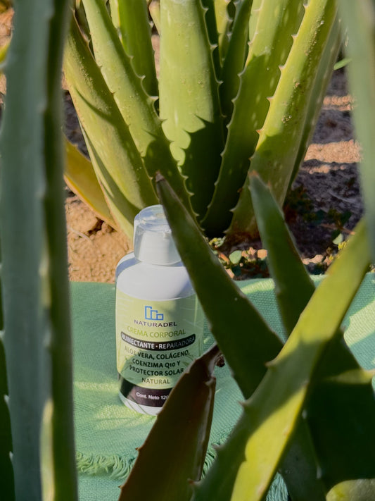 Crema Humectante y Reparadora - Aloe Vera - 120 g