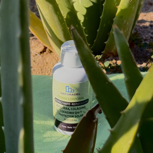 Crema Humectante y Reparadora - Aloe Vera - 120 g